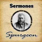 sermones spurgeon android application logo